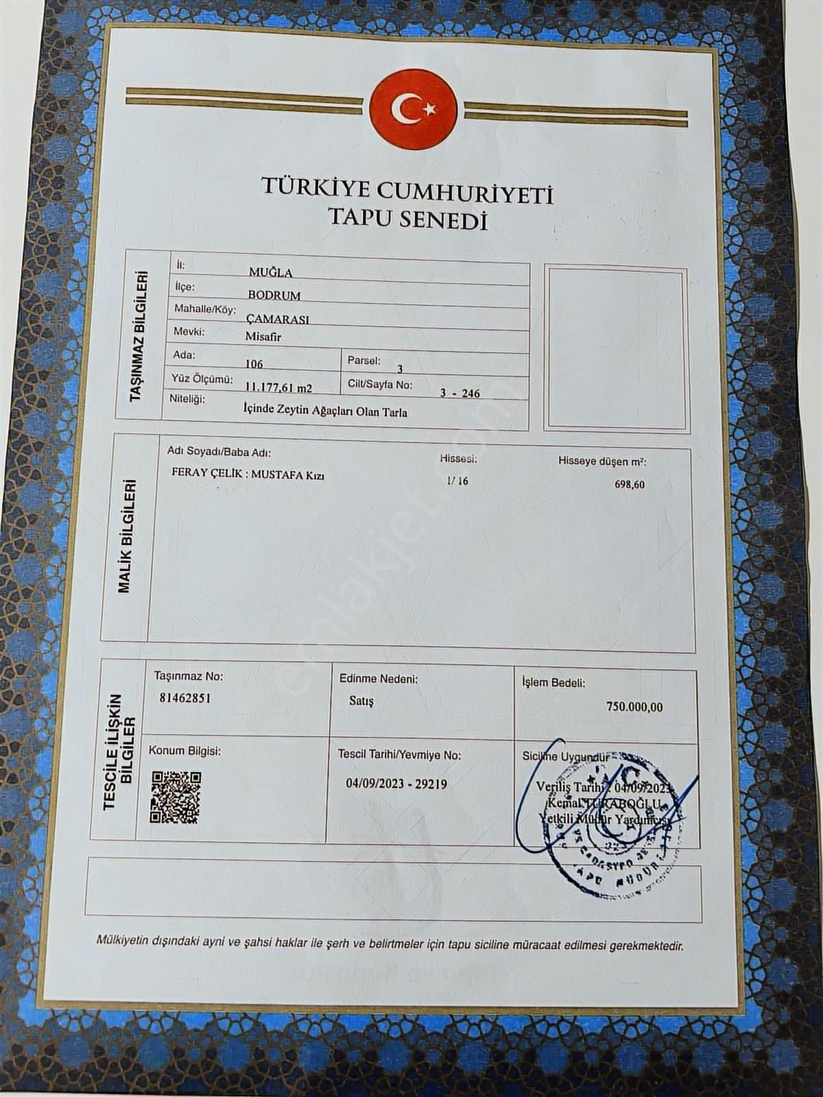 Bodrum Mumcular Çamarası Satılık Paylı Mülkiyetli Tarla - Görsel 5