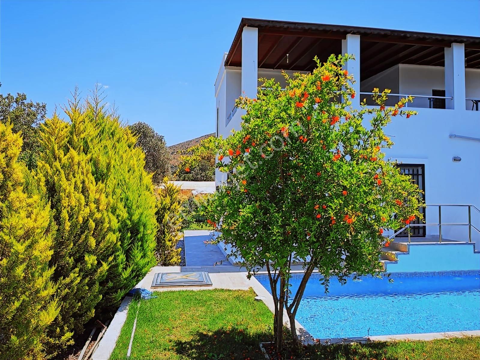 Bodrum Gümüşlük Yıllık Kiralık 3+1 Tam Müstakil Havuzlu Villa - Görsel 4