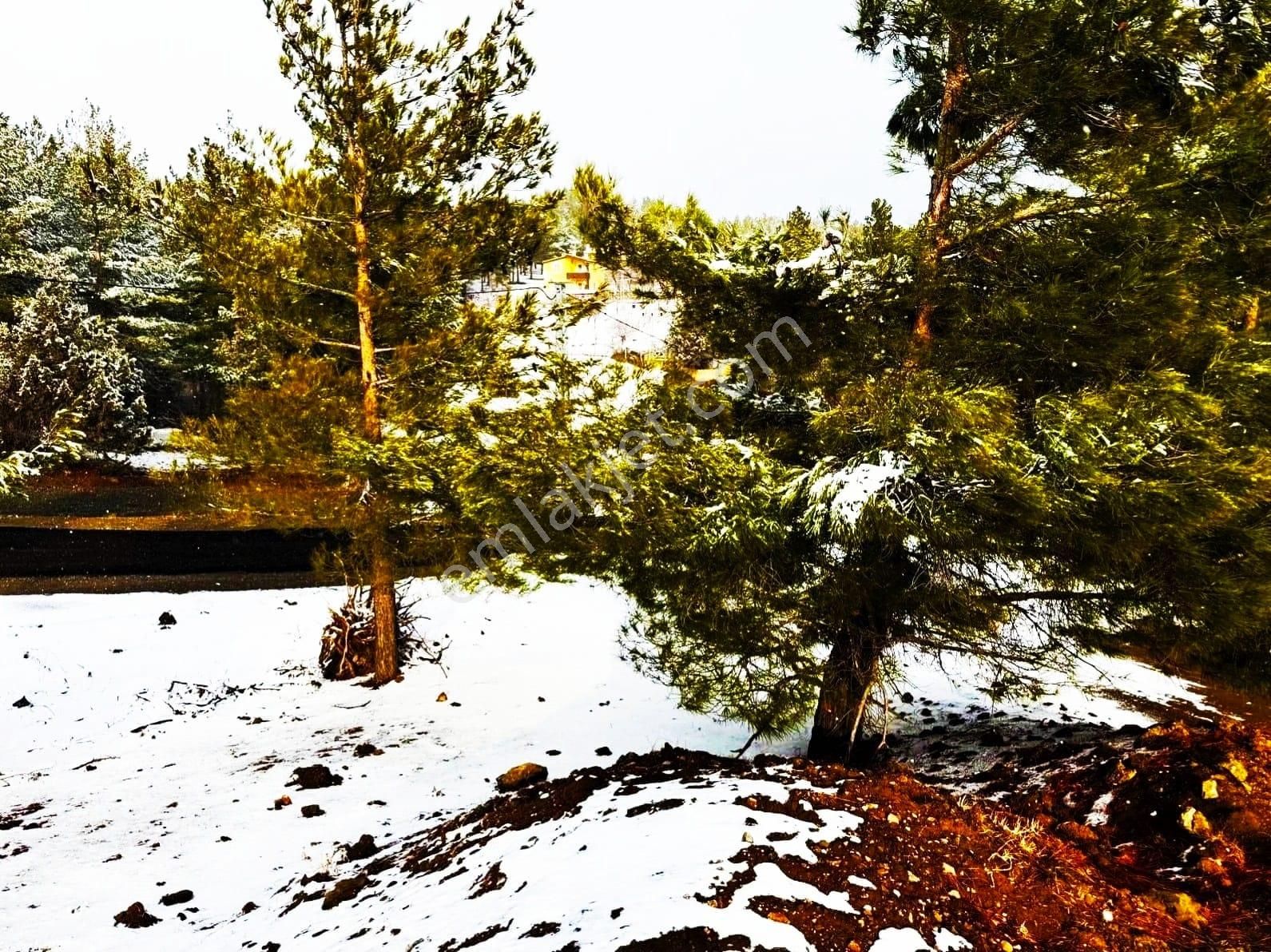 Kar Emlaktan Alpu Yaylasında 485 M2 Satılık Arsa - Görsel 13