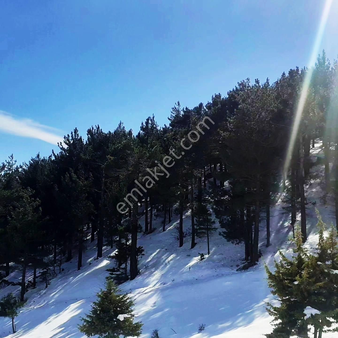 Kar Emlaktan Yenikonacık Bozkırlı Mevkiinde 400 M2 Satılık Arsa - Görsel 9