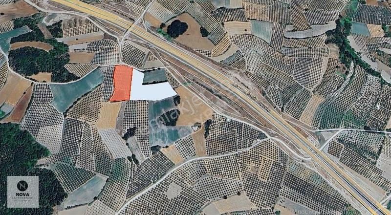 Nova'dan Konaklı Mh. 6000m2 Kadastro Yol Cephe Satılık Tarla - Görsel 2