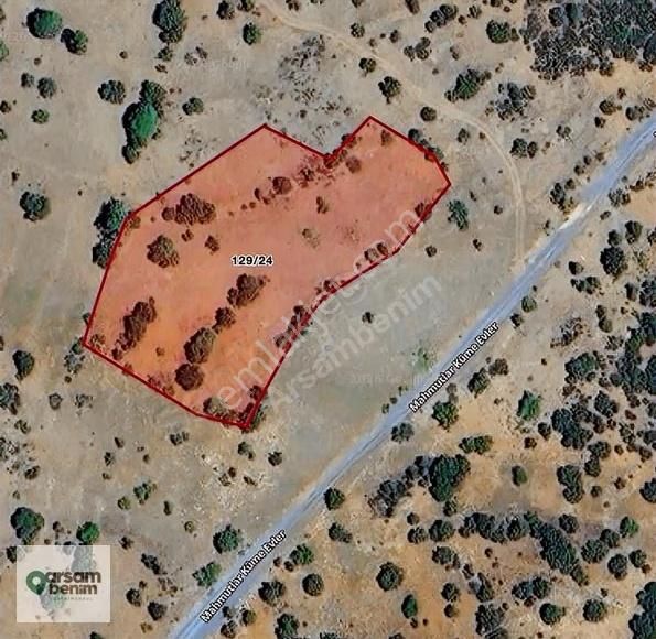 Denizli Tavas'ta 4273 M2 Tarla