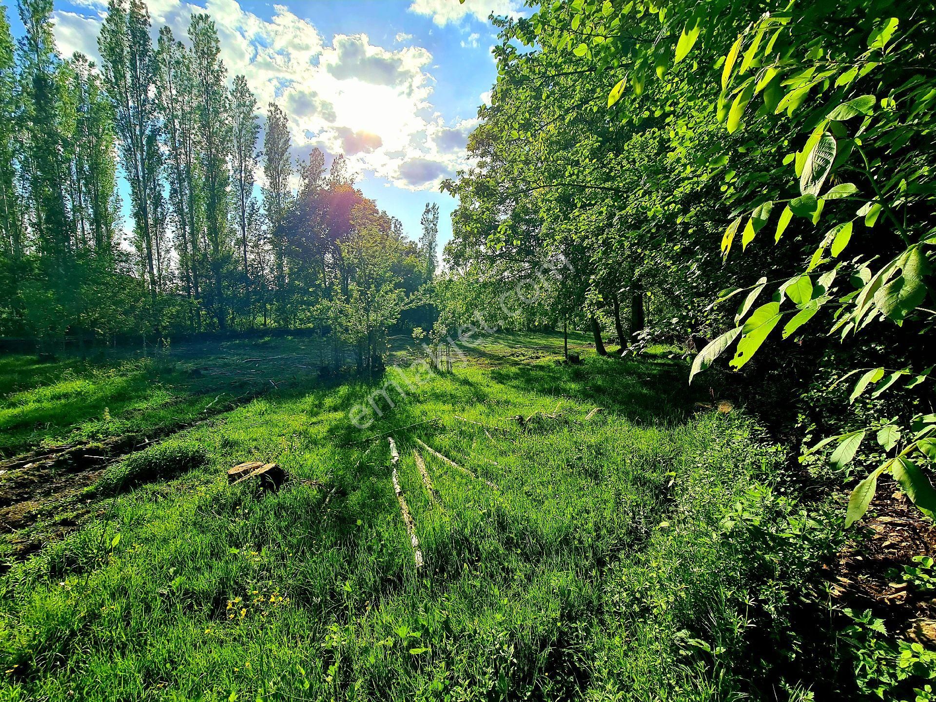 Afyonkarahisar Hocalar Akçadere Köyiçi 1.944 M2 Tarla. Arı Meyve Çiftlik İçin. Açıklamayı Okuyunuz - Görsel 18