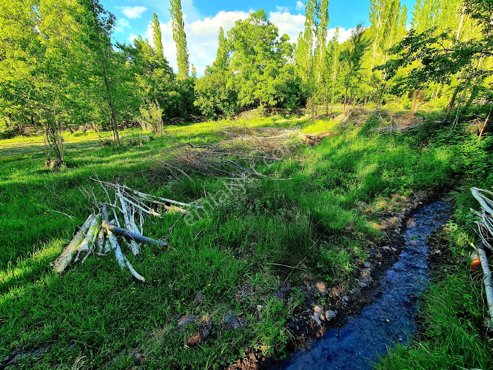 Afyonkarahisar Hocalar Akçadere Köyiçi 1.944 M2 Tarla. Arı Meyve Çiftlik İçin. Açıklamayı Okuyunuz - Görsel 14