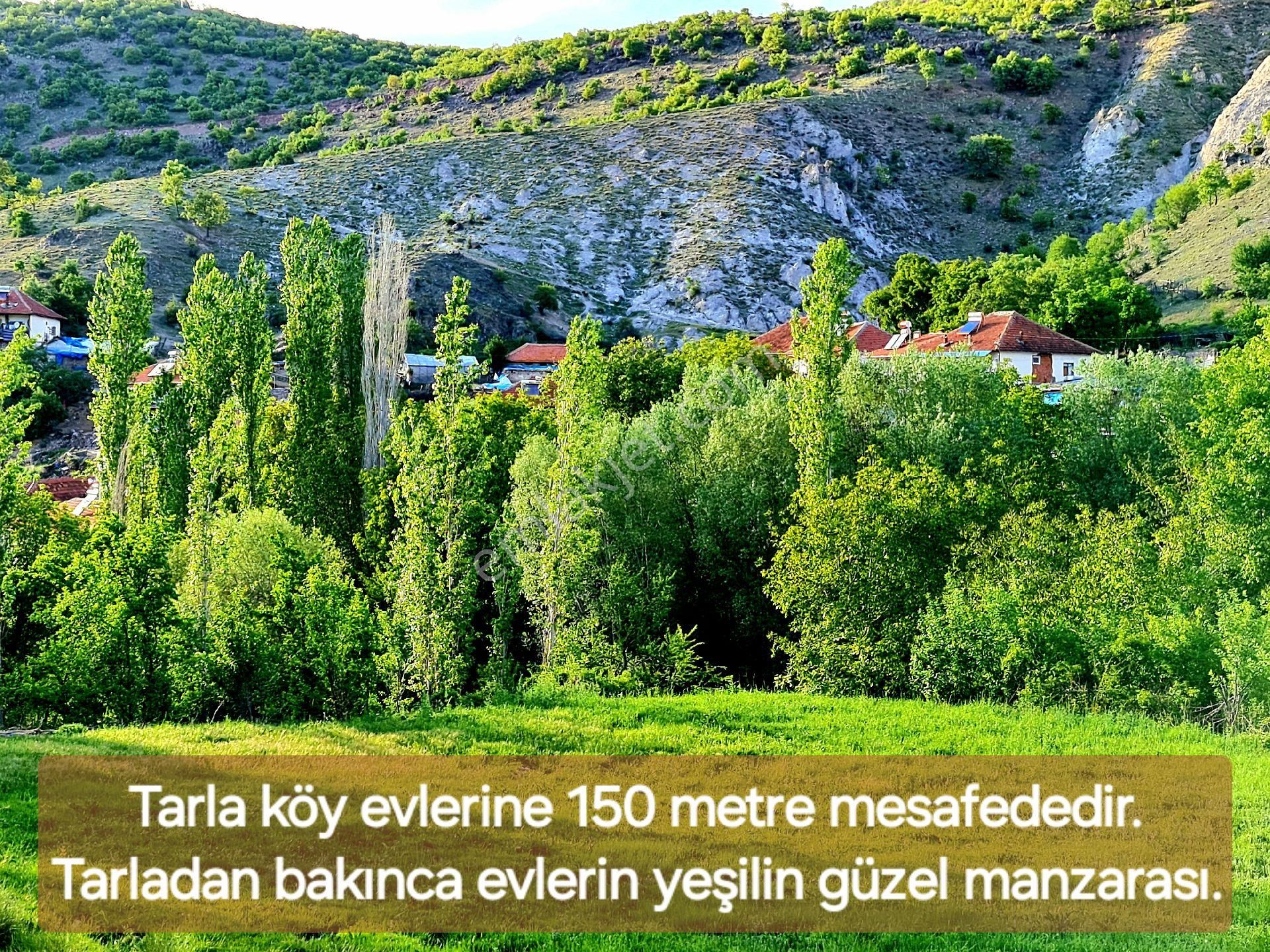 Afyonkarahisar Hocalar Akçadere Köyiçi 1.944 M2 Tarla. Arı Meyve Çiftlik İçin. Açıklamayı Okuyunuz - Görsel 23