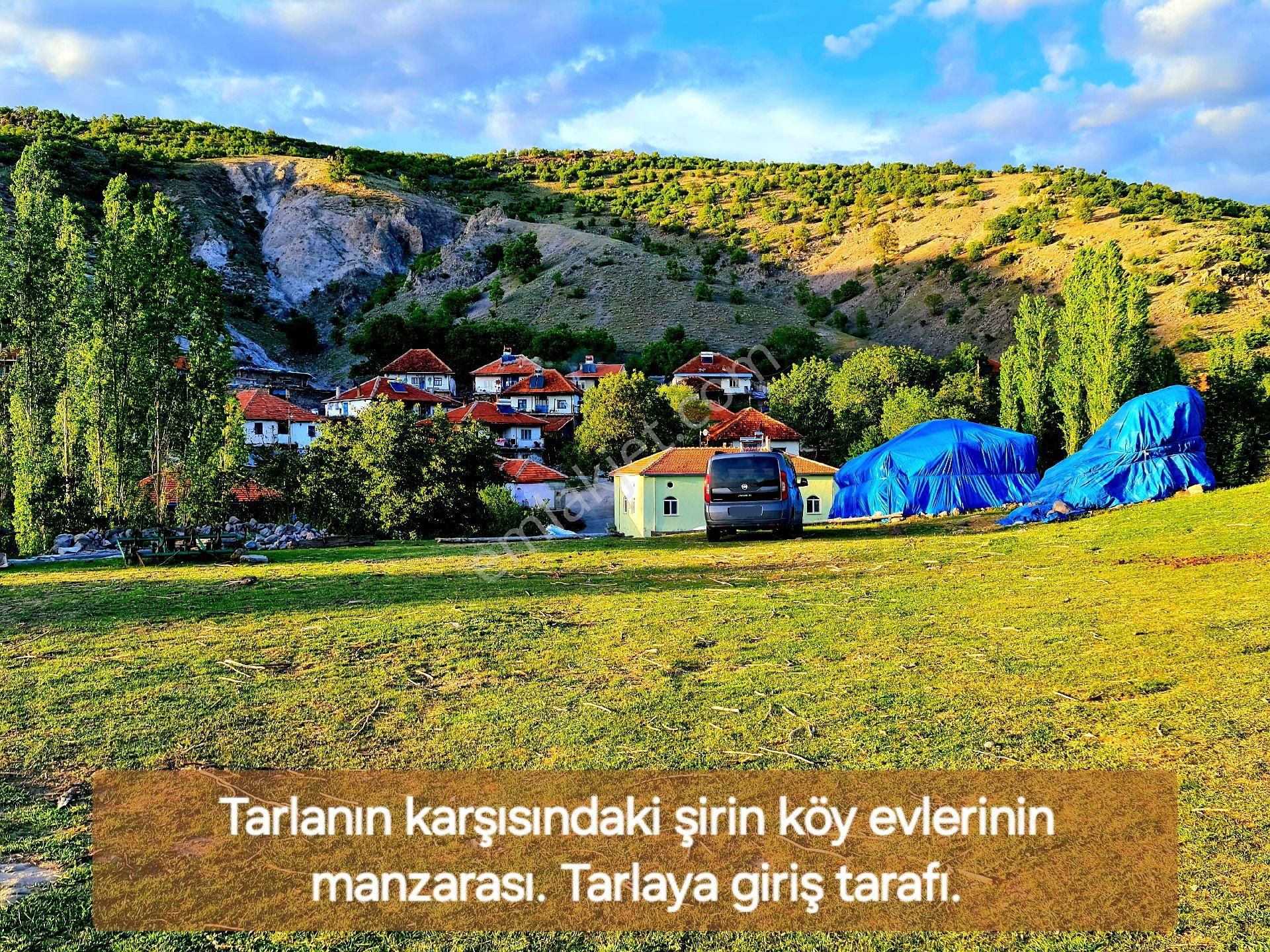 Afyonkarahisar Hocalar Akçadere Köyiçi 1.944 M2 Tarla. Arı Meyve Çiftlik İçin. Açıklamayı Okuyunuz - Görsel 27