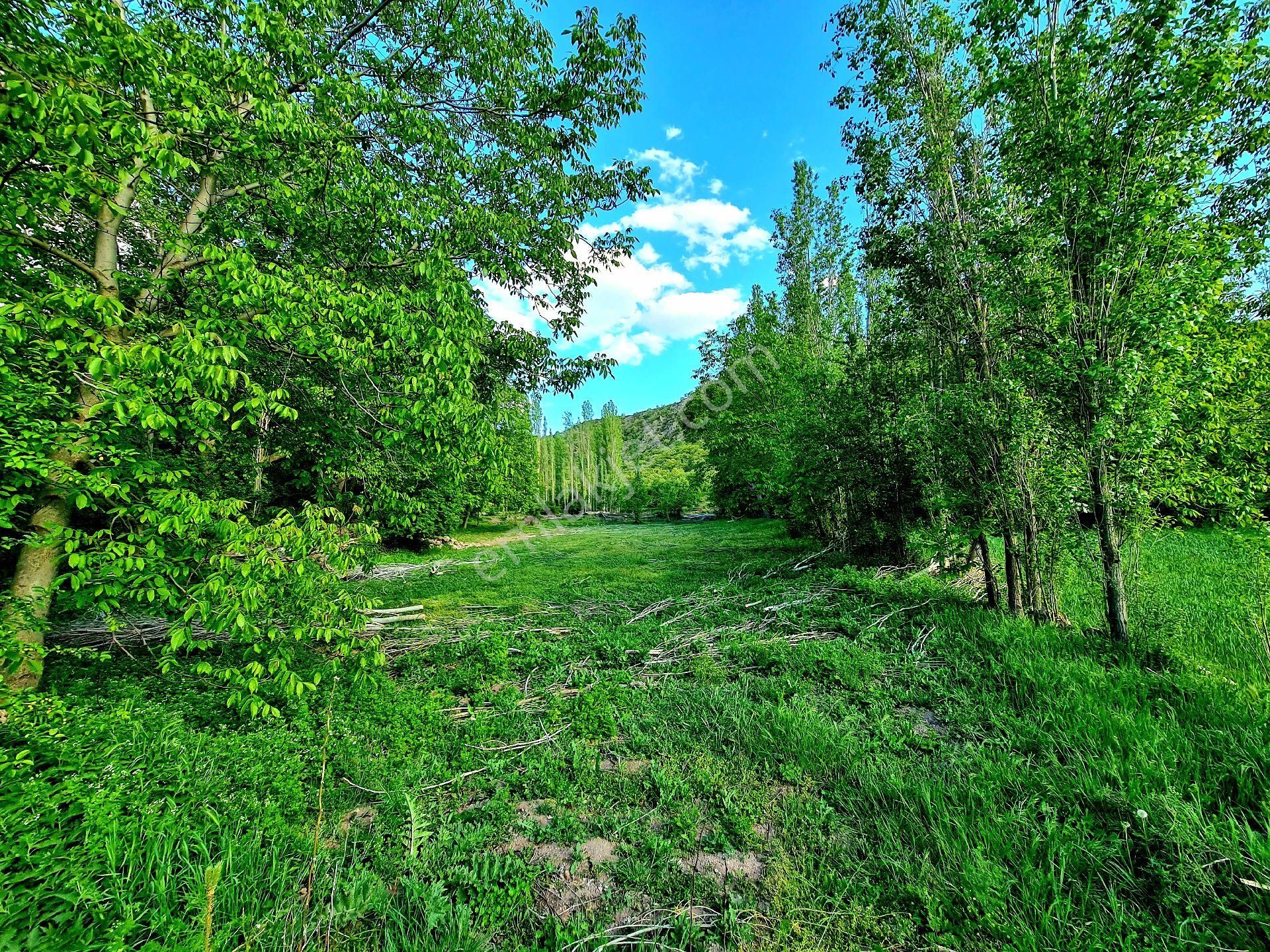 Afyonkarahisar Hocalar Akçadere Köyiçi 1.944 M2 Tarla. Arı Meyve Çiftlik İçin. Açıklamayı Okuyunuz - Görsel 24