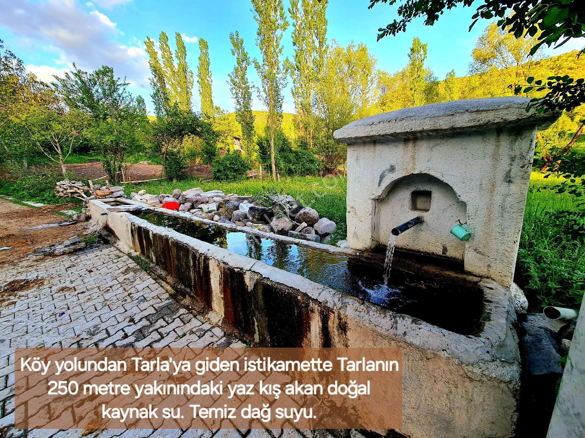 Afyonkarahisar Hocalar Akçadere Köyiçi 1.944 M2 Tarla. Arı Meyve Çiftlik İçin. Açıklamayı Okuyunuz - Görsel 28