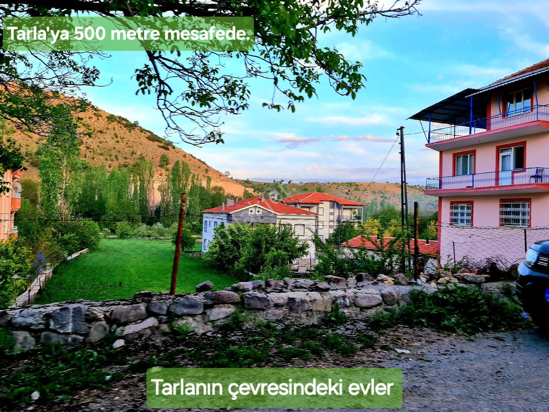 Afyonkarahisar Hocalar Akçadere Köyiçi 1.944 M2 Tarla. Arı Meyve Çiftlik İçin. Açıklamayı Okuyunuz - Görsel 30
