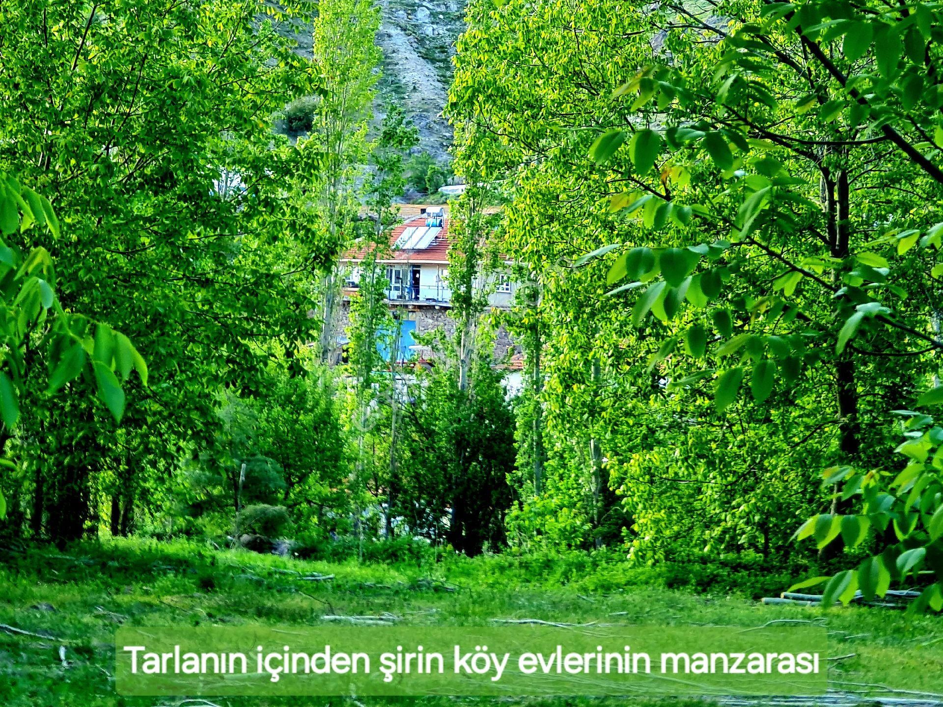 Afyonkarahisar Hocalar Akçadere Köyiçi 1.944 M2 Tarla. Arı Meyve Çiftlik İçin. Açıklamayı Okuyunuz - Görsel 17