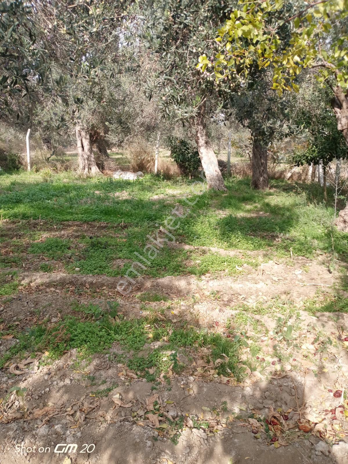 Balıkesir Havran’da Üç Katlı İmarlı Satılık Arsa
