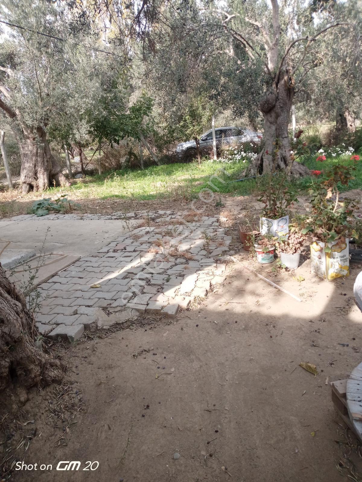 Balıkesir Havran’da Üç Katlı İmarlı Satılık Arsa - Görsel 24