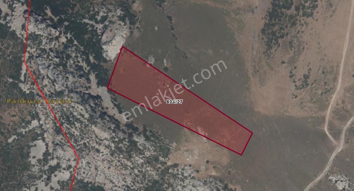 Karaburun Satılık Tarla