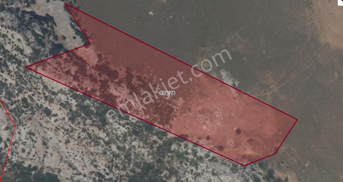 Karaburun Satılık Tarla