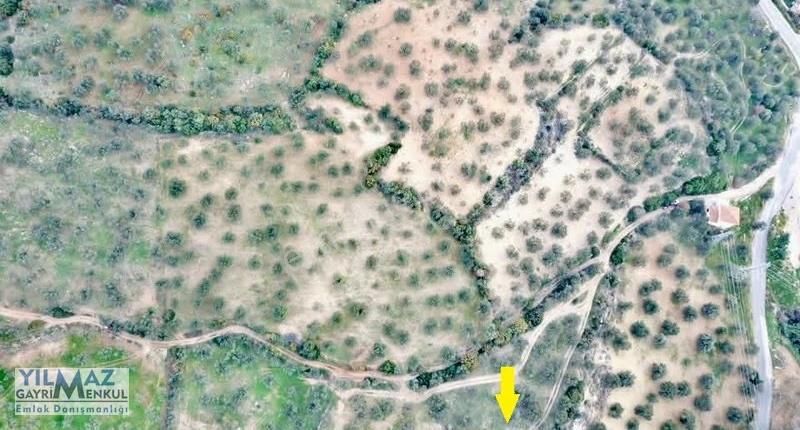Zeytindağ Merkeze 400 Mt Mesafede Satılık Zeytinlik - Görsel 13