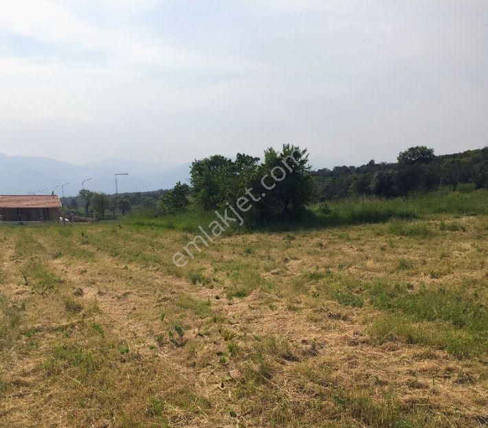 İzmir İmarlı 1955m² Arsa (sahibinden)