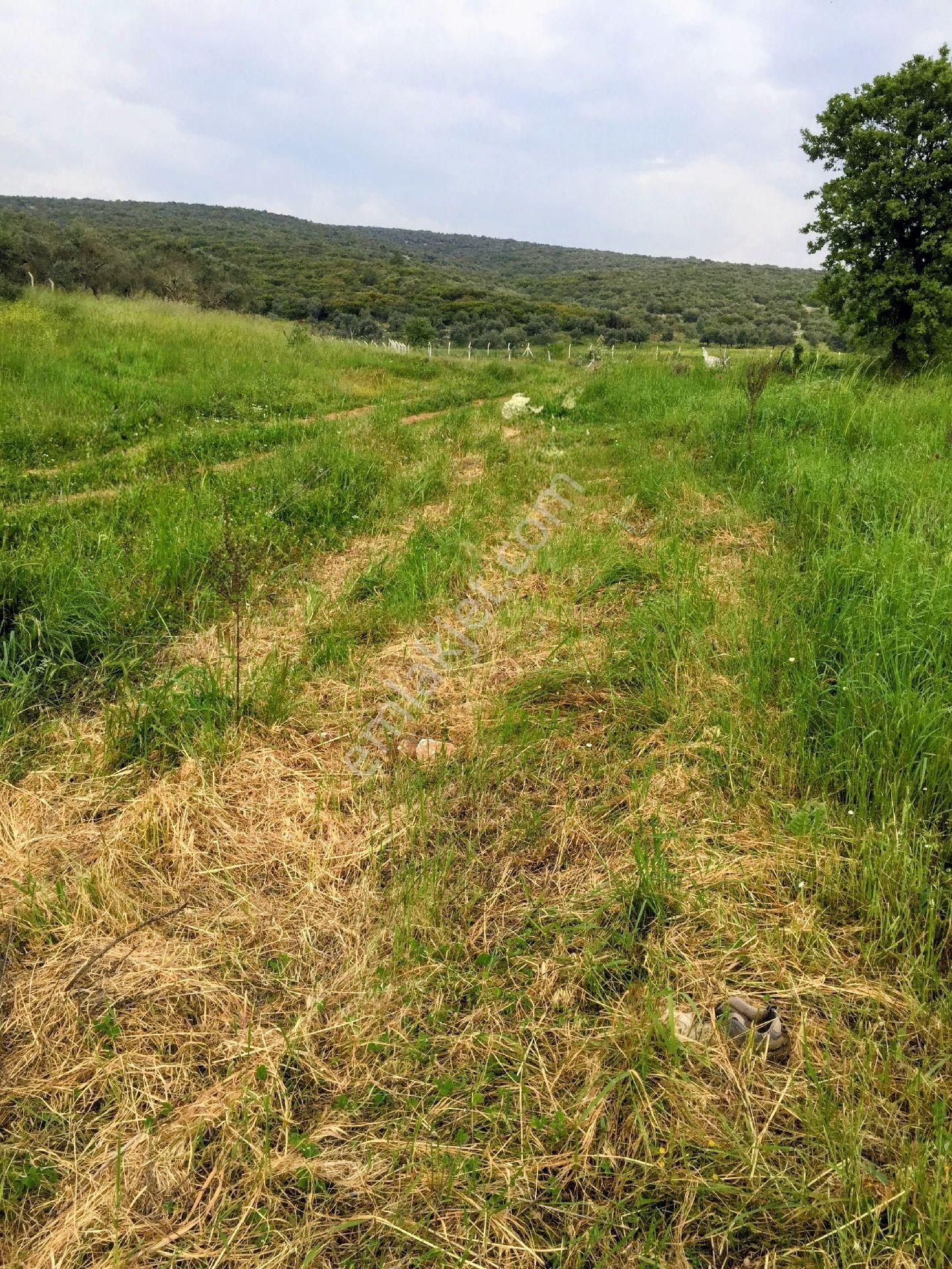 İzmir İmarlı 1955m² Arsa (sahibinden) - Görsel 5