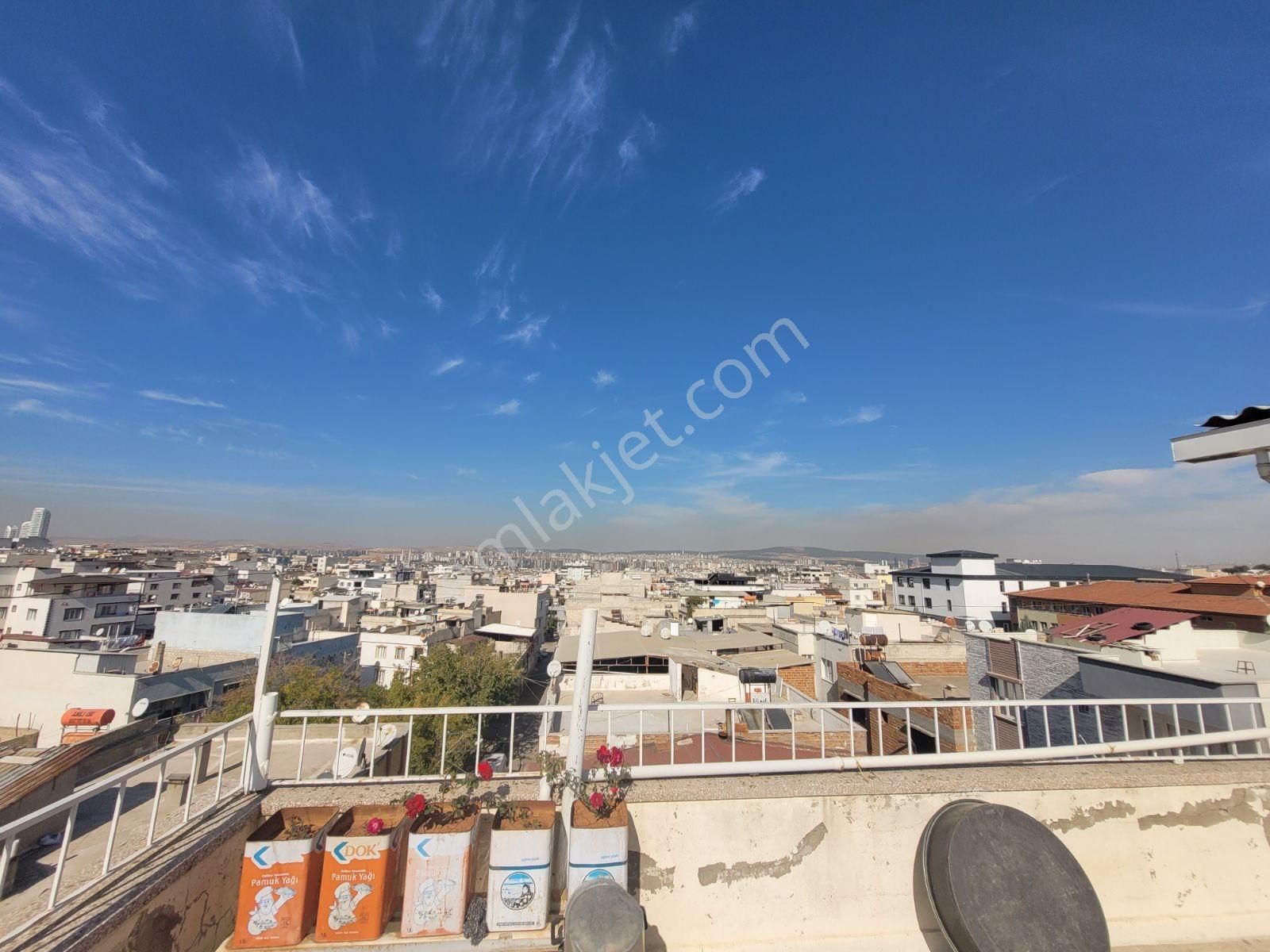 Tek Yetkili Müstakil 4 Daire 2 Dükkan Fırsat İlandır - Görsel 16