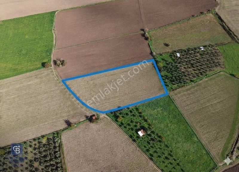 C.b. Route | İzmir Dikili'de Denize Yakın Konumda Değerli Tarla - Görsel 4