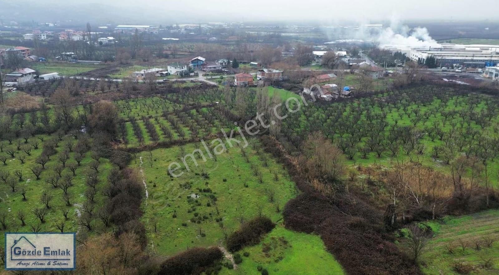 Geyve Dörtyol Fabrikalar Bölgesi İmar Sınırı 3 Dönüm Arazi - Görsel 8