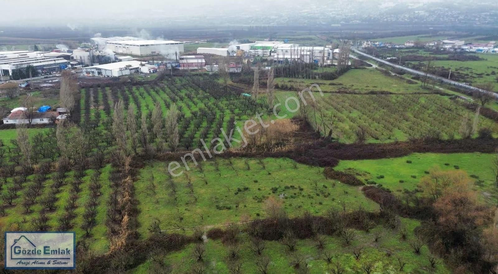 Geyve Dörtyol Fabrikalar Bölgesi İmar Sınırı 3 Dönüm Arazi - Görsel 20