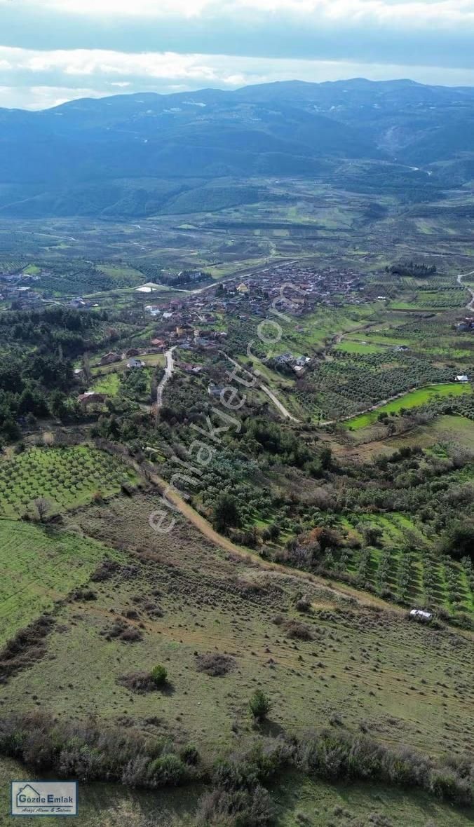 Sakarya Geyve Doğantepe 3015m2 Yola Cephe Ve Manzaralı Arazi - Görsel 5