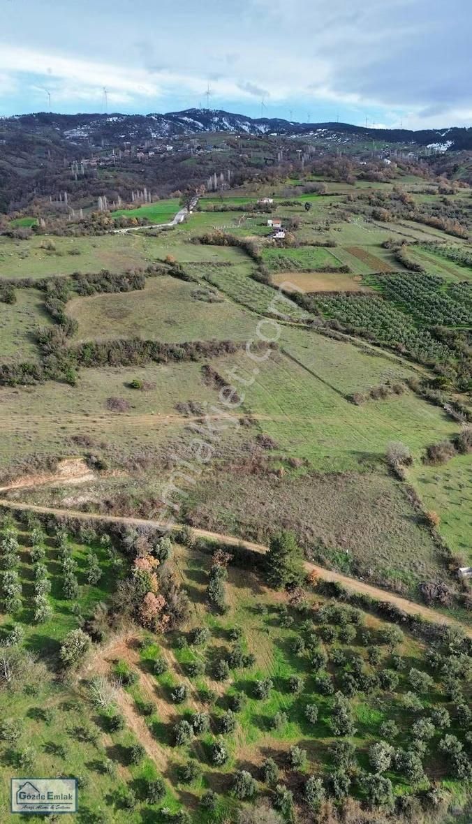 Sakarya Geyve Doğantepe 3015m2 Yola Cephe Ve Manzaralı Arazi - Görsel 6
