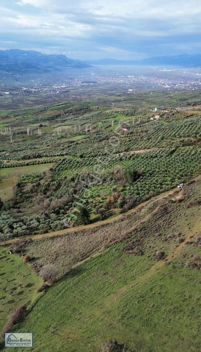 Sakarya Geyve Doğantepe 3015m2 Yola Cephe Ve Manzaralı Arazi - Görsel 10
