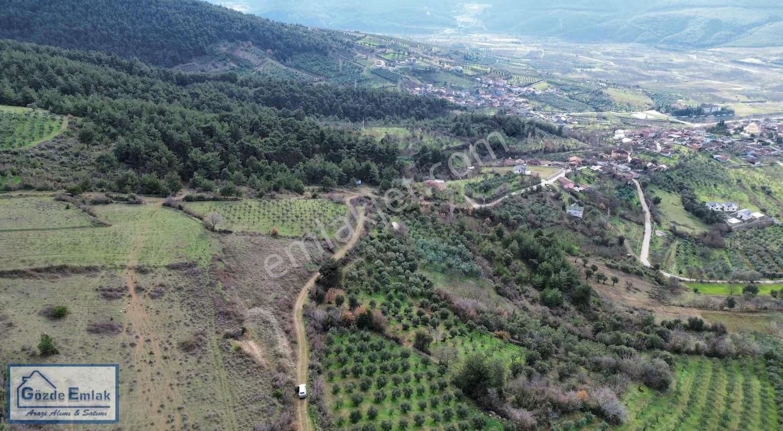 Sakarya Geyve Doğantepe 3015m2 Yola Cephe Ve Manzaralı Arazi - Görsel 2