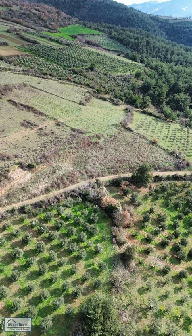 Sakarya Geyve Doğantepe 3015m2 Yola Cephe Ve Manzaralı Arazi - Görsel 4