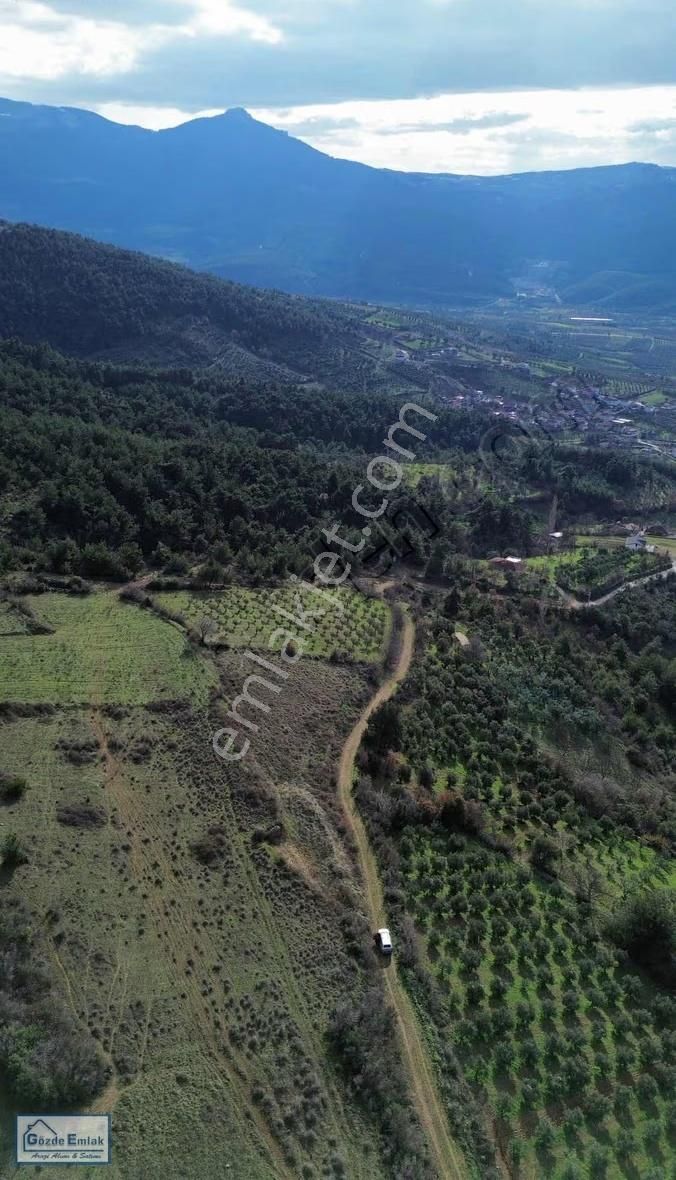 Sakarya Geyve Doğantepe 3015m2 Yola Cephe Ve Manzaralı Arazi - Görsel 9