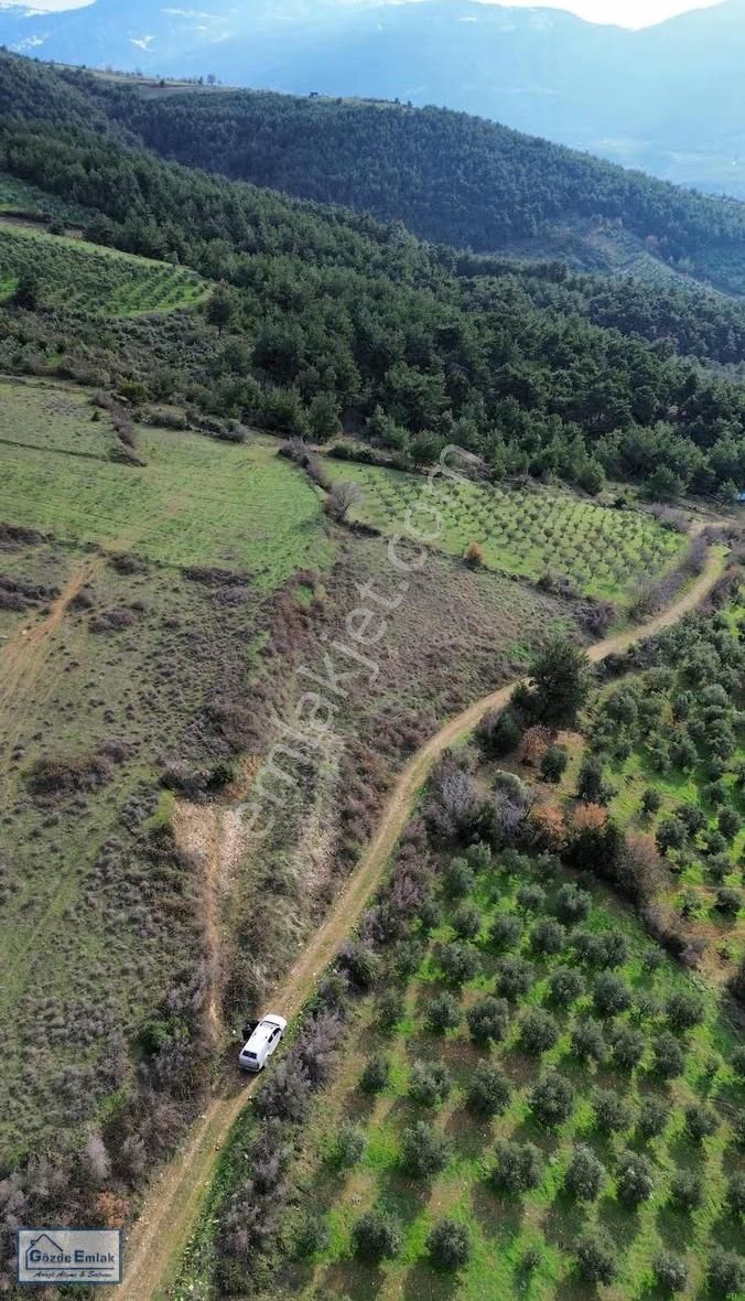 Sakarya Geyve Doğantepe 3015m2 Yola Cephe Ve Manzaralı Arazi - Görsel 7