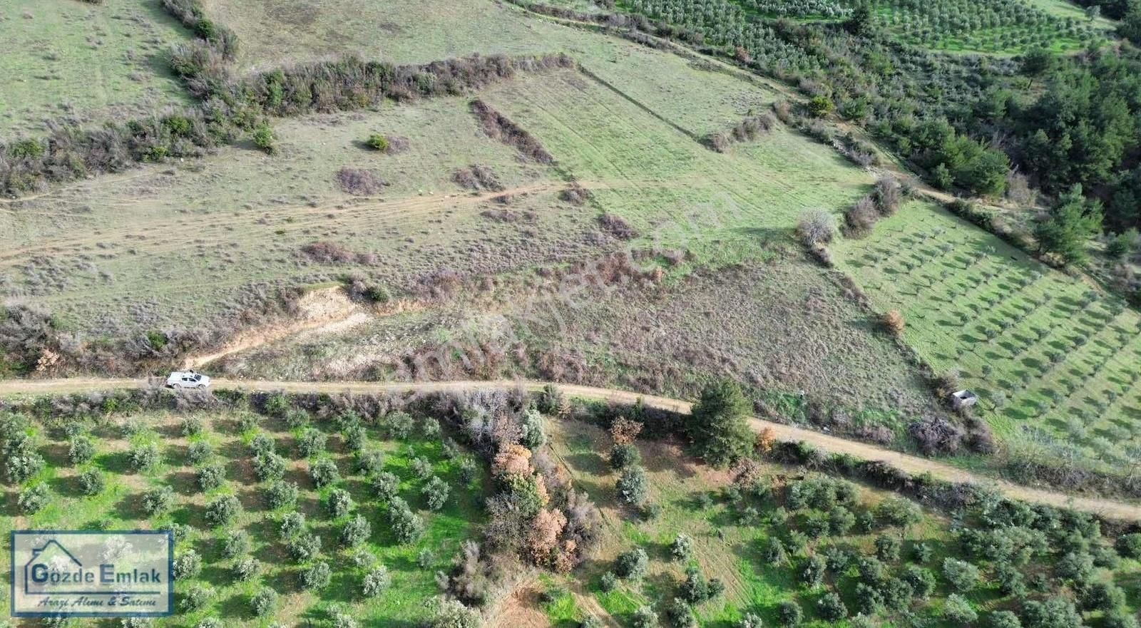 Sakarya Geyve Doğantepe 3015m2 Yola Cephe Ve Manzaralı Arazi - Görsel 3