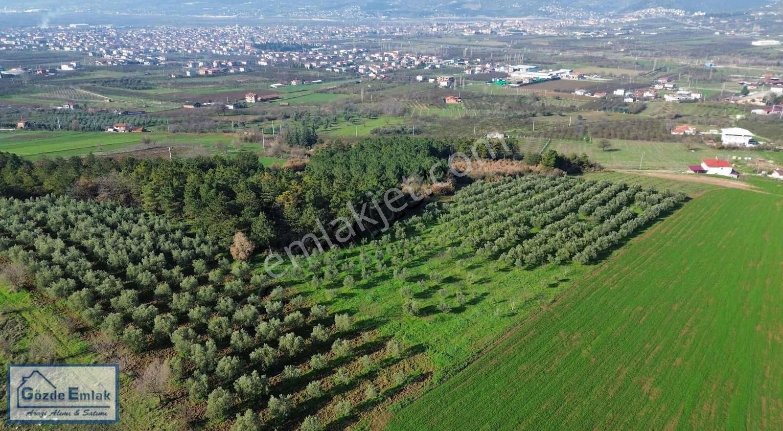 Sakarya Geyve Hırka Mah. 3.840m2 Yatırımlık Arazi - Görsel 8