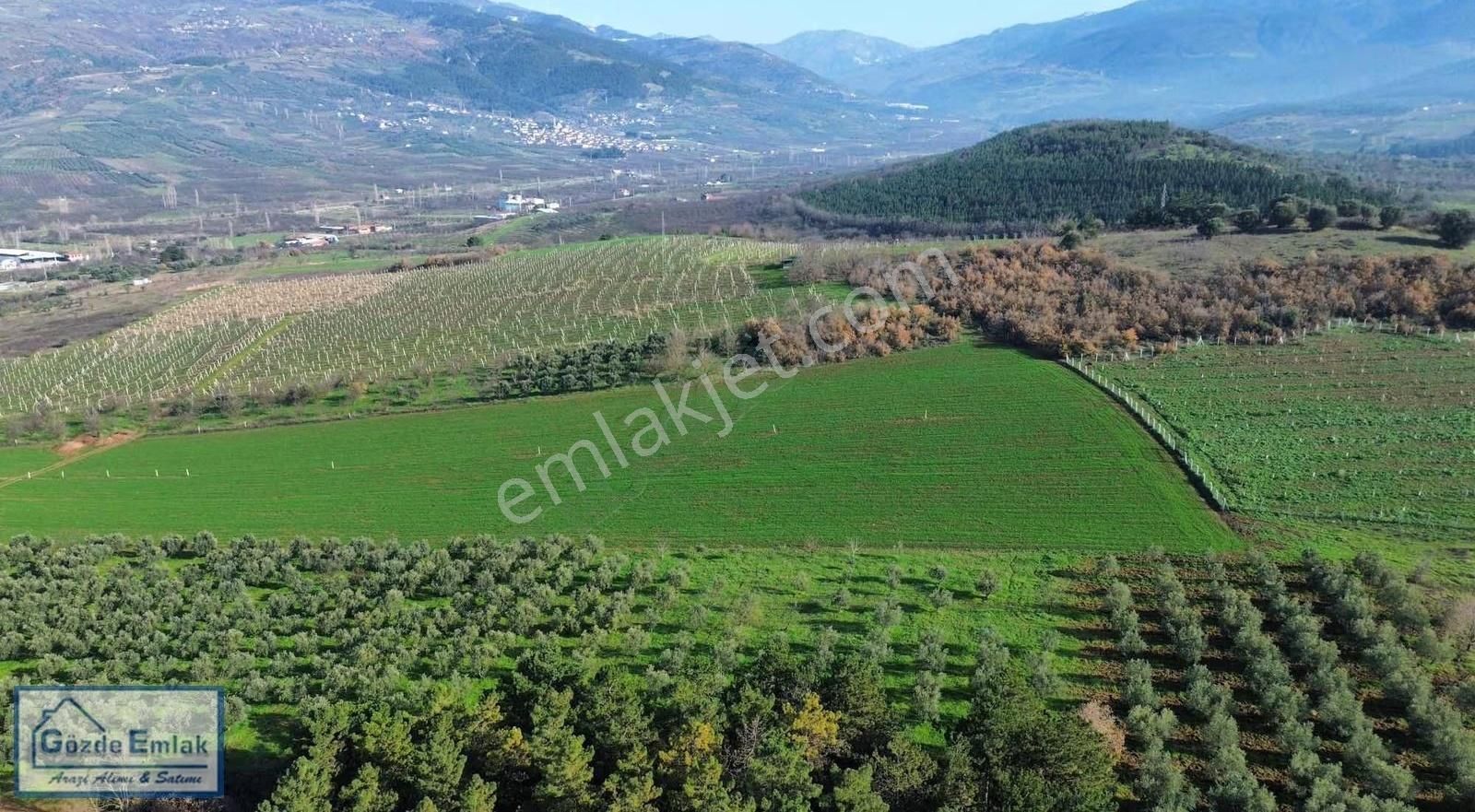 Sakarya Geyve Hırka Mah. 3.840m2 Yatırımlık Arazi - Görsel 30