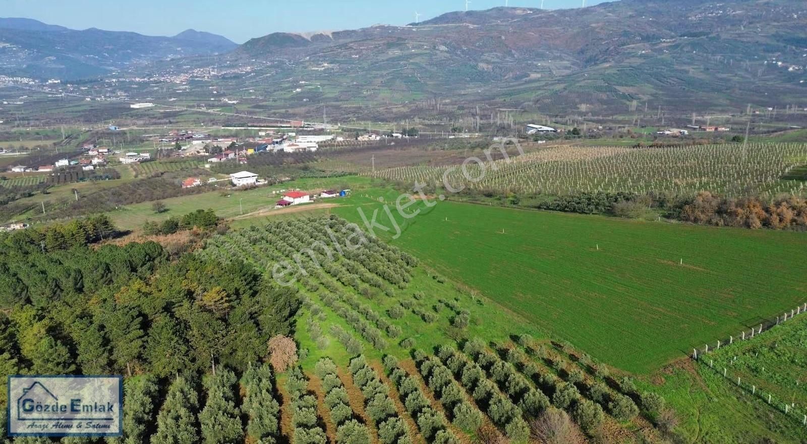 Sakarya Geyve Hırka Mah. 3.840m2 Yatırımlık Arazi - Görsel 11