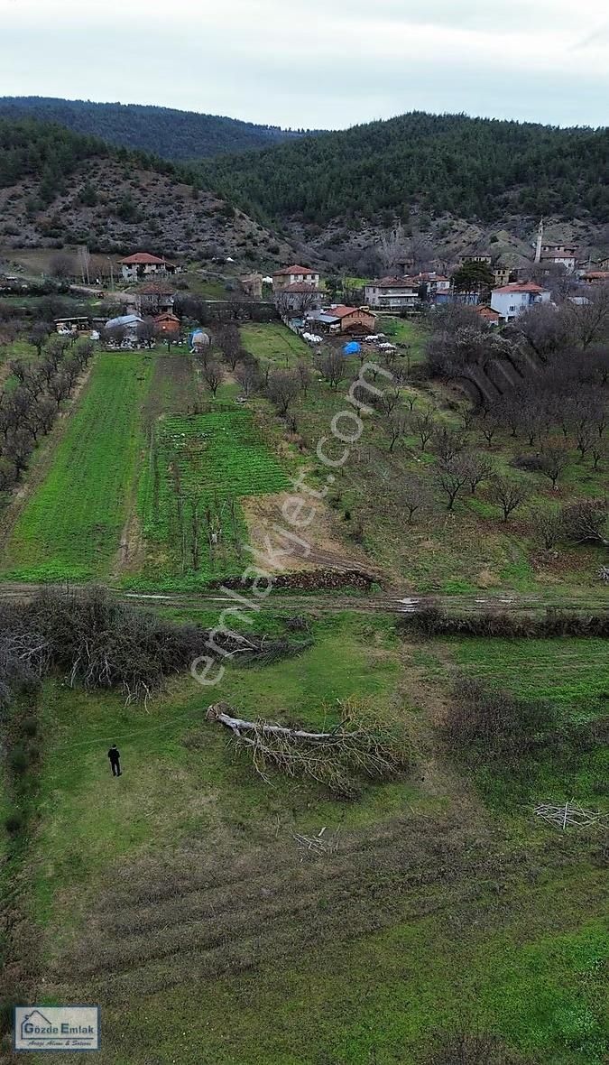 Geyve Şehrende Köye 100metre Yola Cepheli 357 M² Düz Zemin Araz - Görsel 7