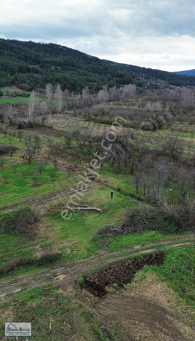 Geyve Şehrende Köye 100metre Yola Cepheli 357 M² Düz Zemin Araz - Görsel 16