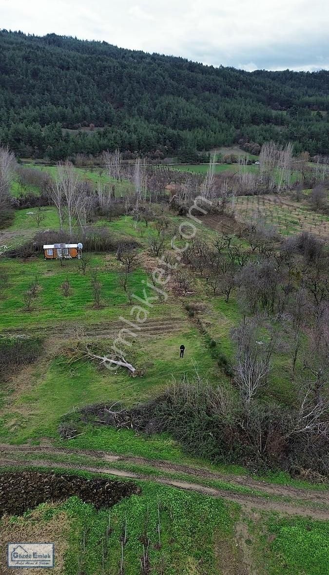 Geyve Şehrende Köye 100metre Yola Cepheli 357 M² Düz Zemin Araz - Görsel 20