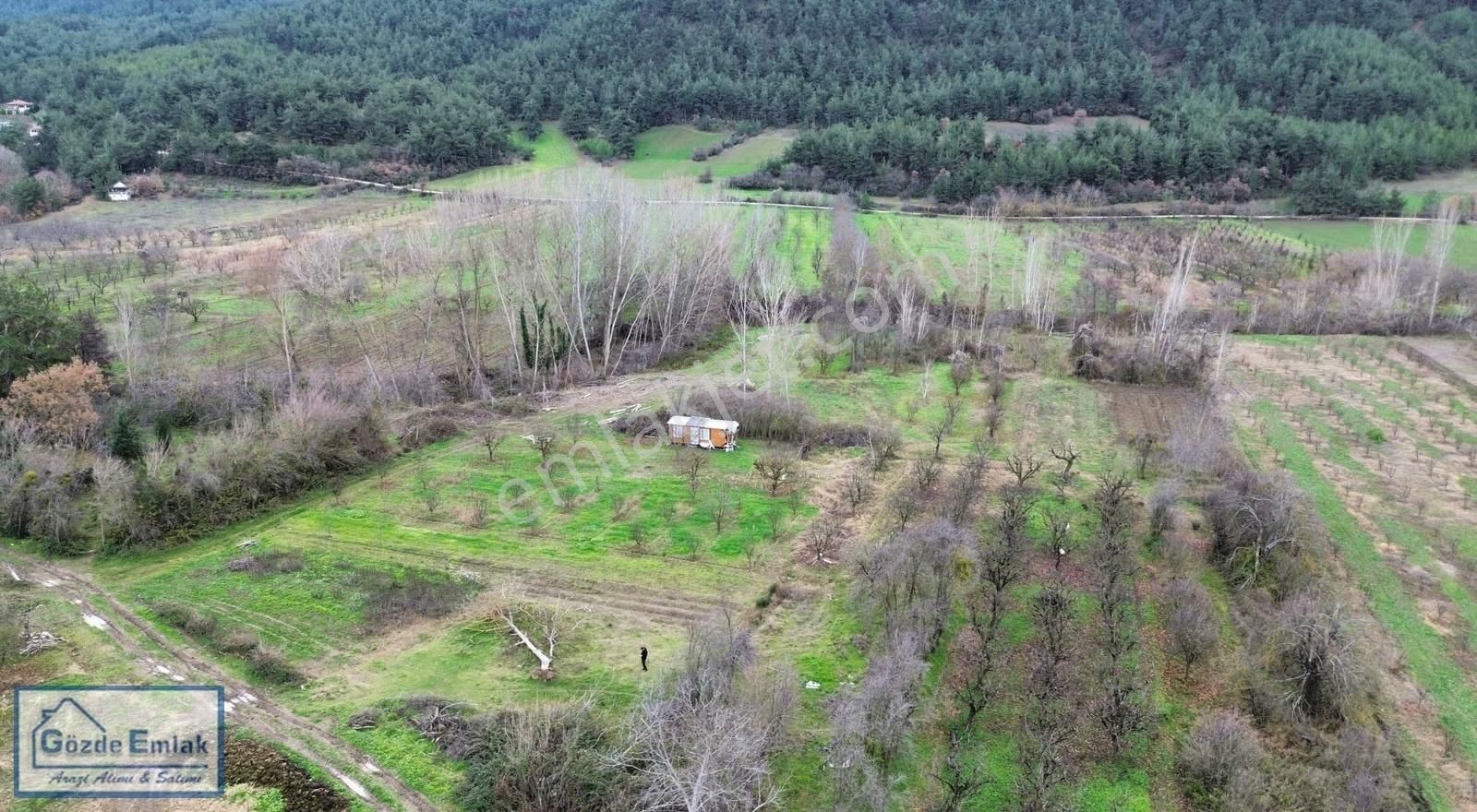 Geyve Şehrende Köye 100metre Yola Cepheli 357 M² Düz Zemin Araz - Görsel 10