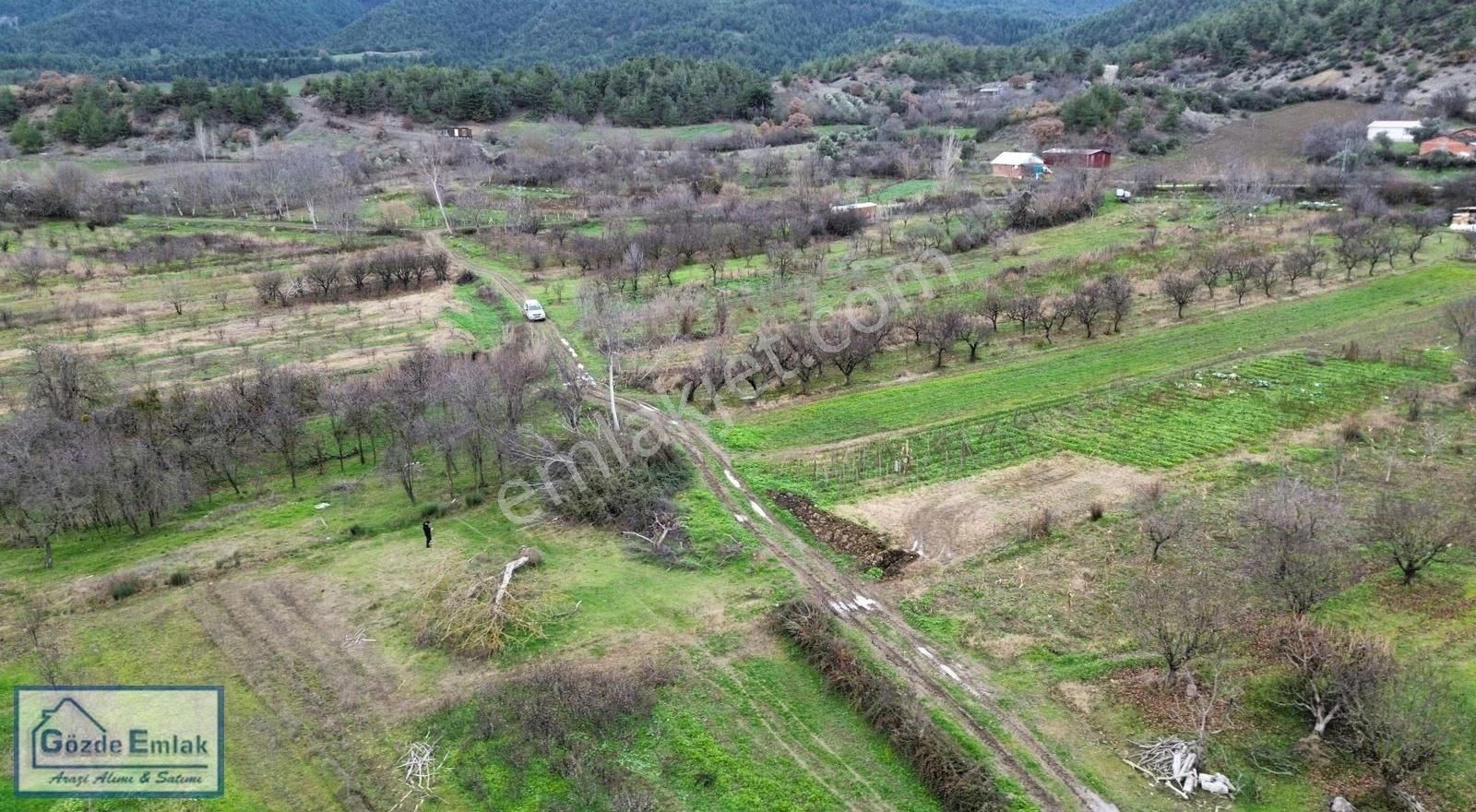 Geyve Şehrende Köye 100metre Yola Cepheli 357 M² Düz Zemin Araz - Görsel 8