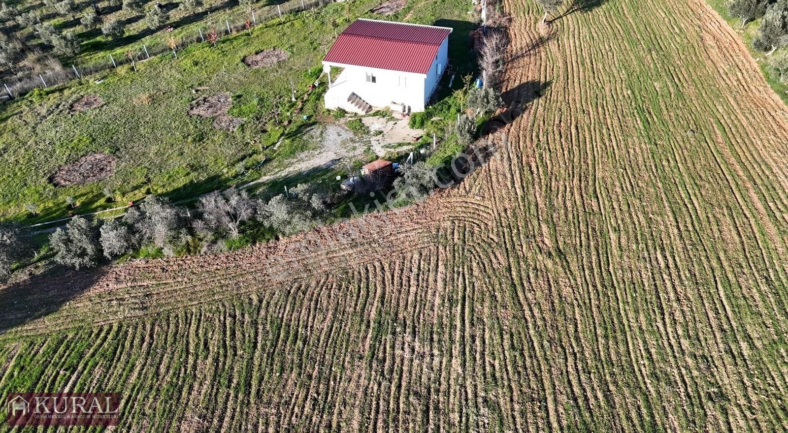 İzmir Menderes Bulgurcada 1510m2 Hissetapulu Elektriksu Arsalar