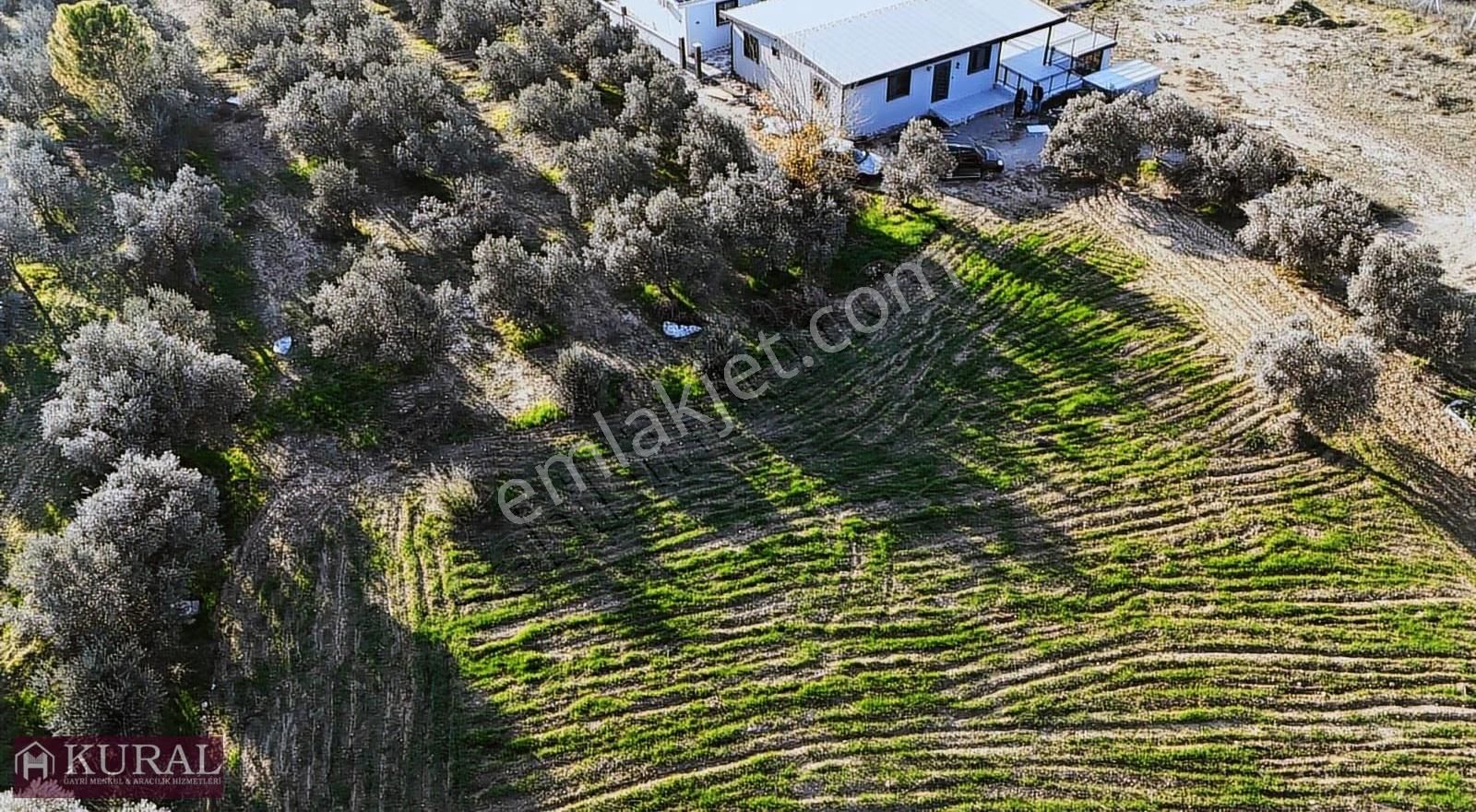 İzmir Menderes Bulgurcada 1510m2 Hissetapulu Elektriksu Arsalar - Görsel 6