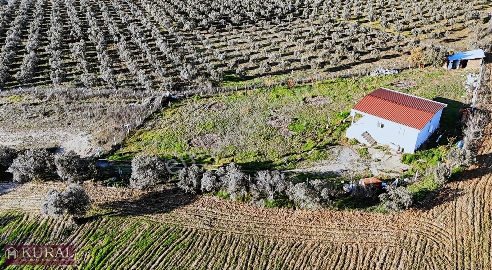 İzmir Menderes Bulgurcada 1510m2 Hissetapulu Elektriksu Arsalar - Görsel 23