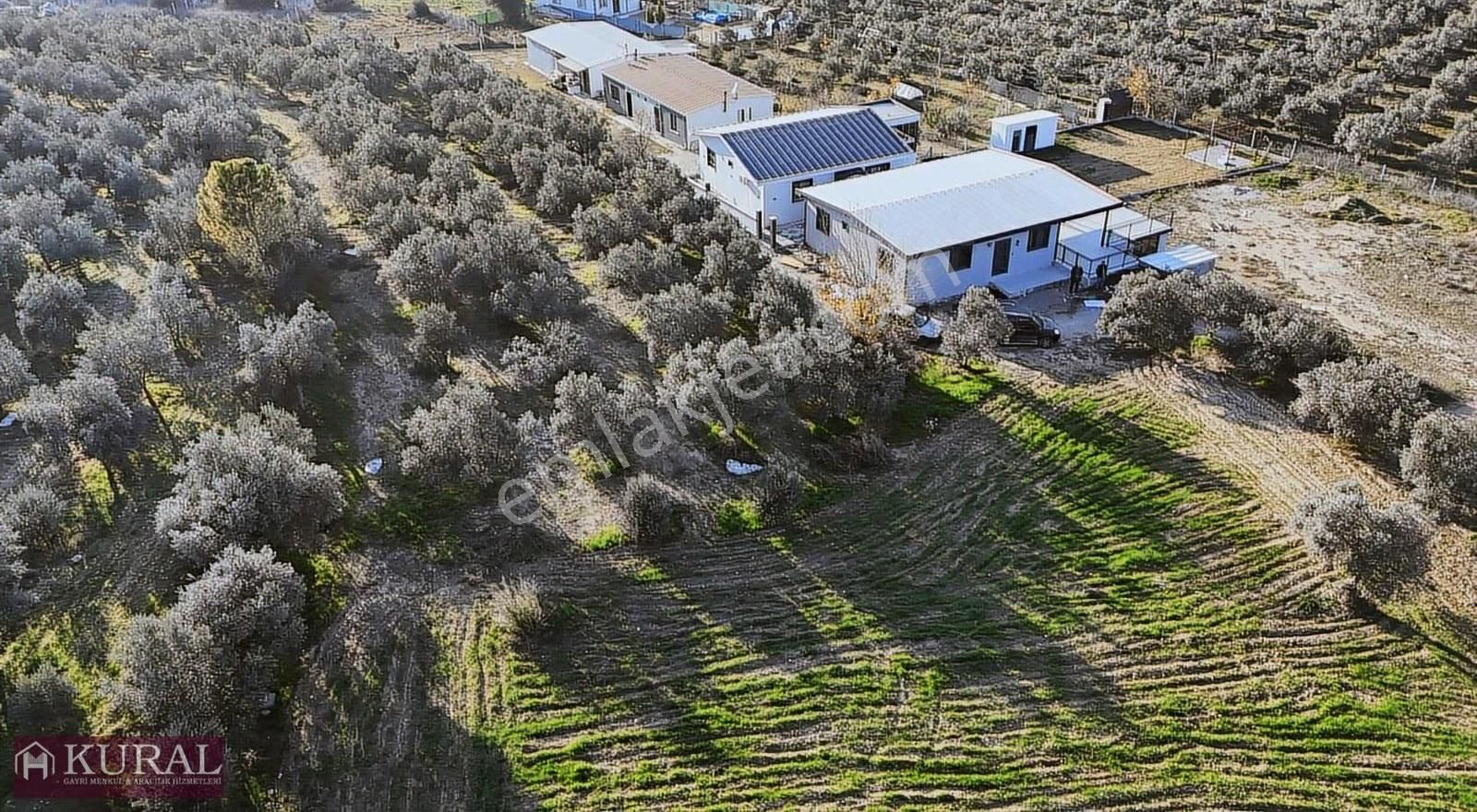 İzmir Menderes Bulgurcada 1510m2 Hissetapulu Elektriksu Arsalar - Görsel 3