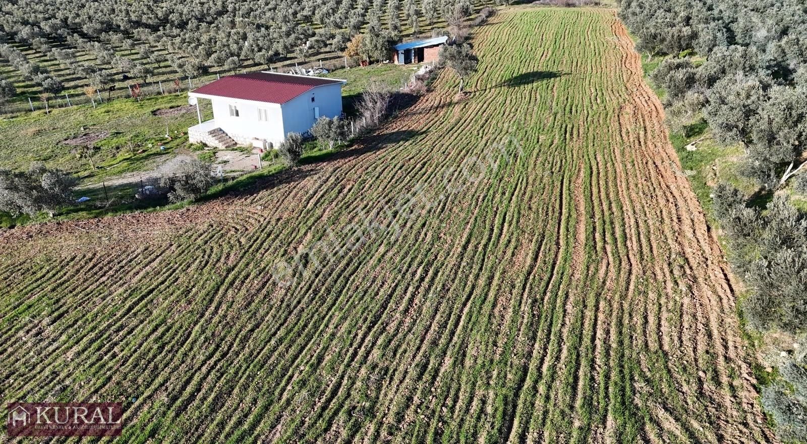 İzmir Menderes Bulgurcada 1510m2 Hissetapulu Elektriksu Arsalar - Görsel 14