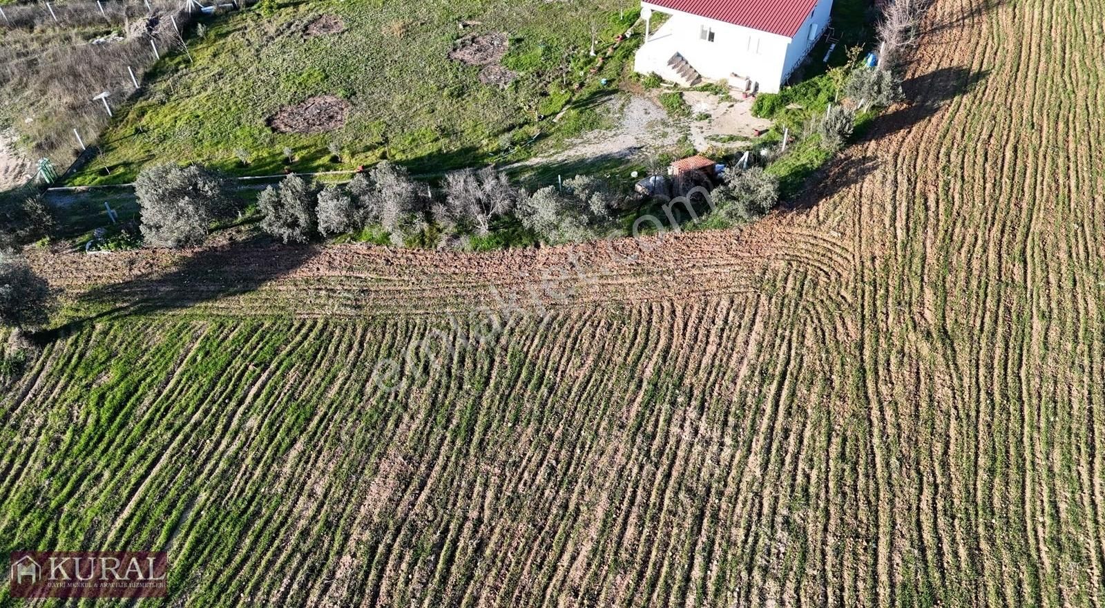 İzmir Menderes Bulgurcada 1510m2 Hissetapulu Elektriksu Arsalar - Görsel 11