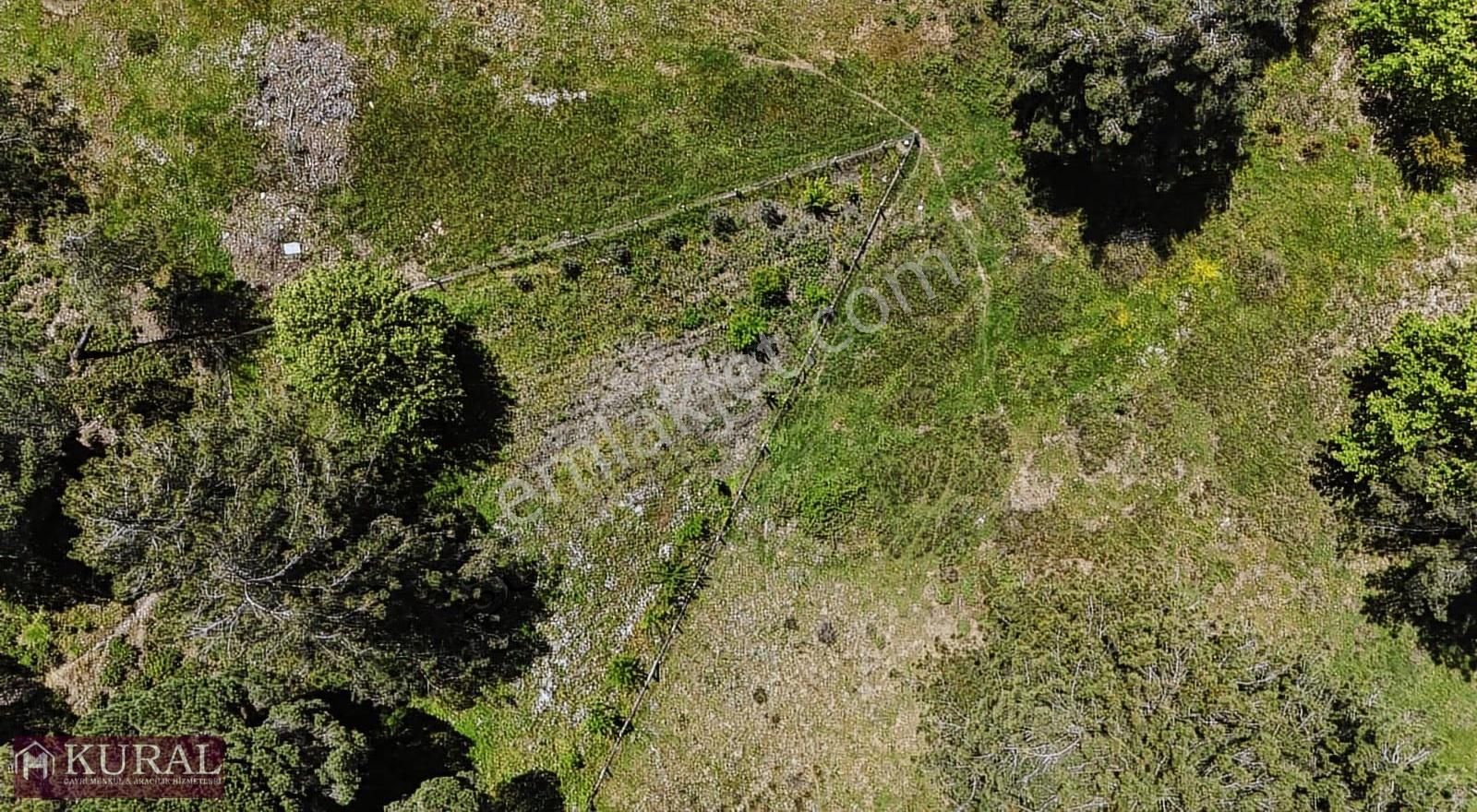 Ataköy Karacadağda Konteynerevi Tek Müstakil Tapu Menderes İzmir - Görsel 15