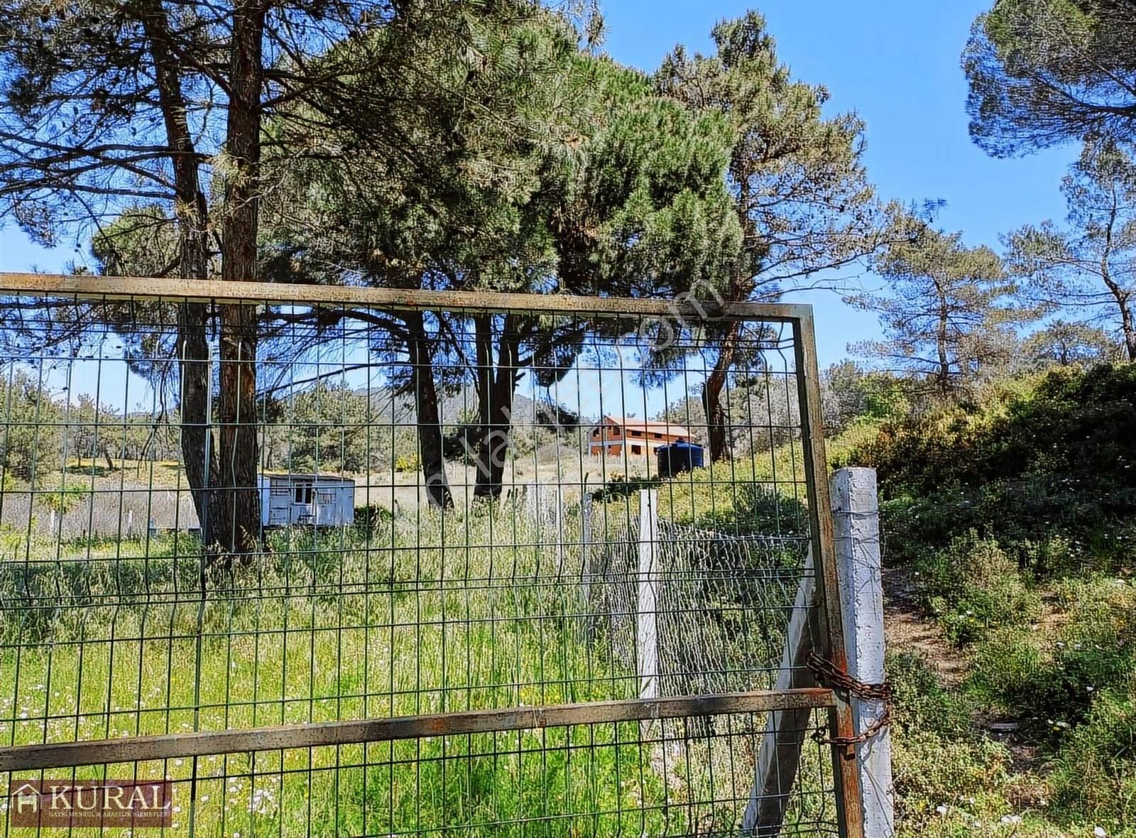 Ataköy Karacadağda Konteynerevi Tek Müstakil Tapu Menderes İzmir