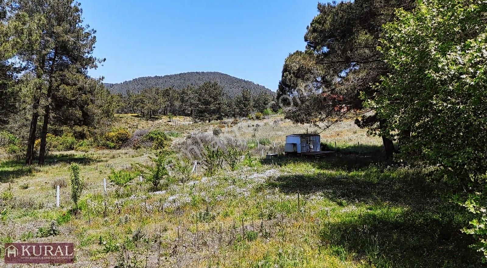 Ataköy Karacadağda Konteynerevi Tek Müstakil Tapu Menderes İzmir - Görsel 7